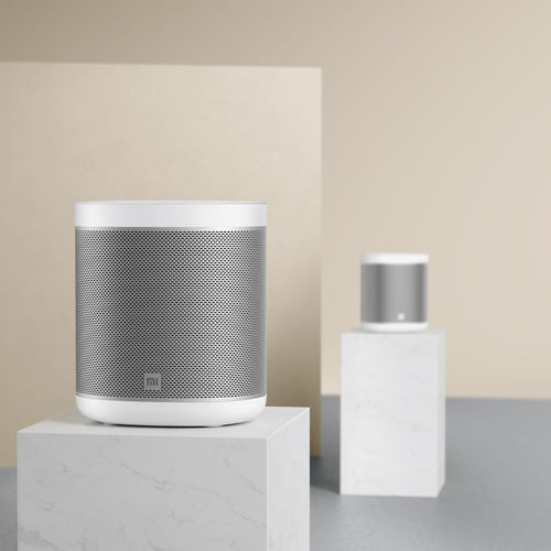 Mi Smart Speaker