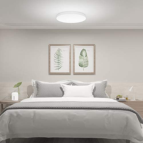 Mi Smart LED Ceiling Light (450mm)